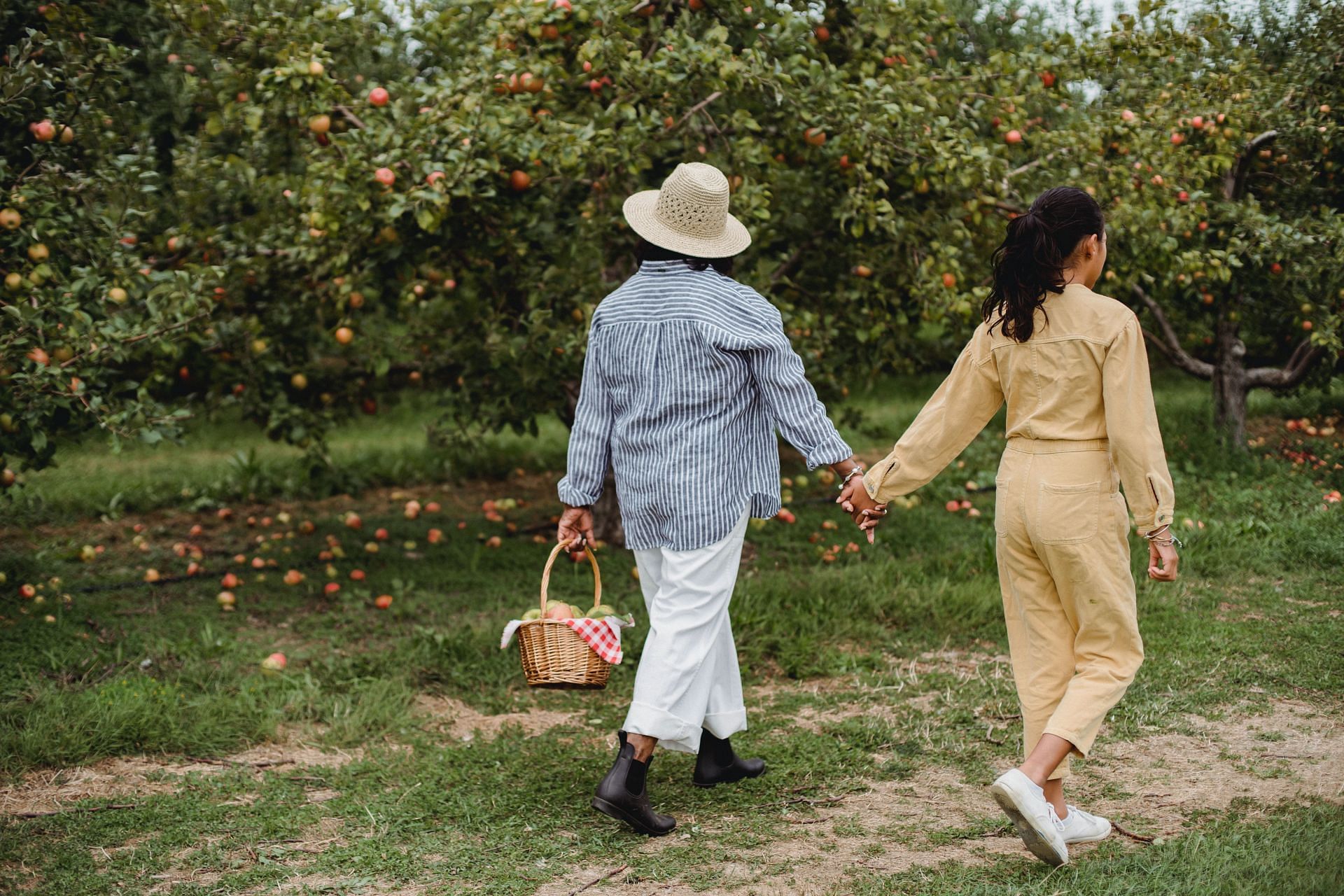 Go outside every day for a walk. (Image via Pexels/Zen Chung)